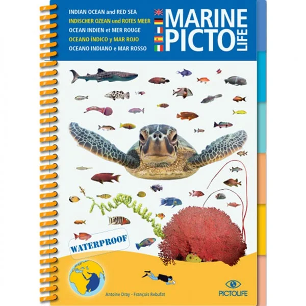 [PIC04] MARINE PICTO LIFE – OCEAN INDIEN ET MER ROUGE