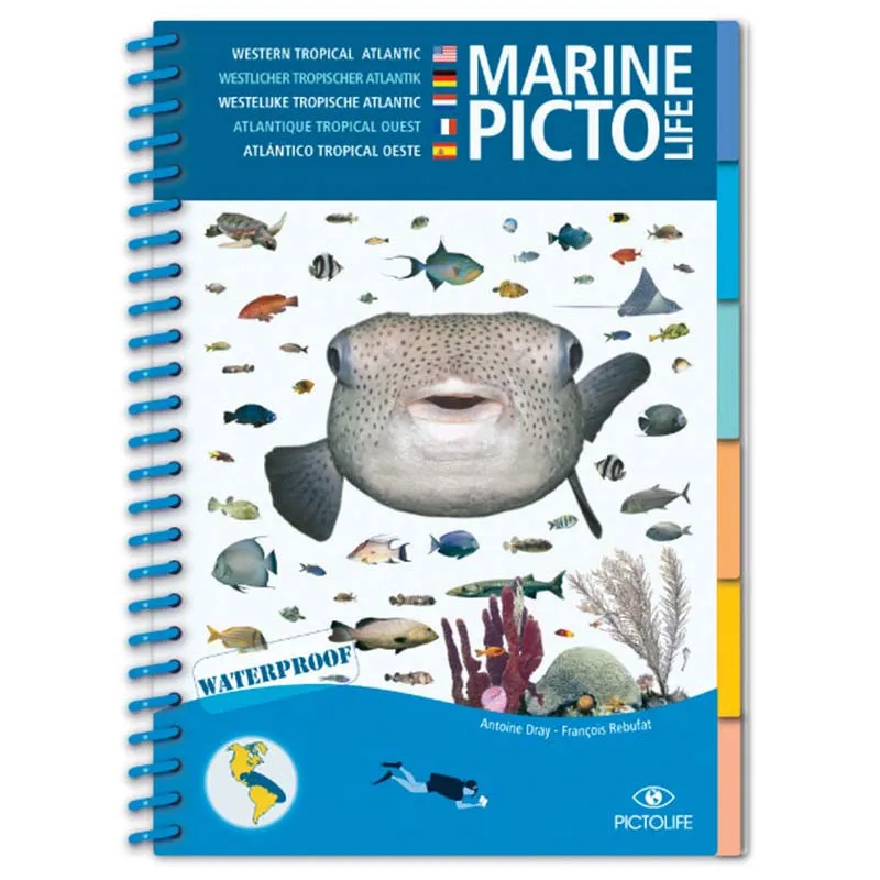 [PIC01] MARINE PICTOLIFE CARAIBES ATLANTIQUE TROPICAL