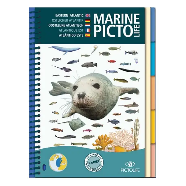 MARINE PICTOLIFE ATLANTIQUE ET MANCHE