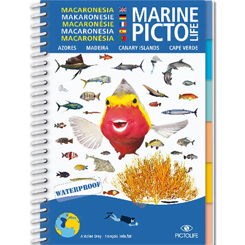 [PIC08] MARINE PICTOLIFE MACRONESIE