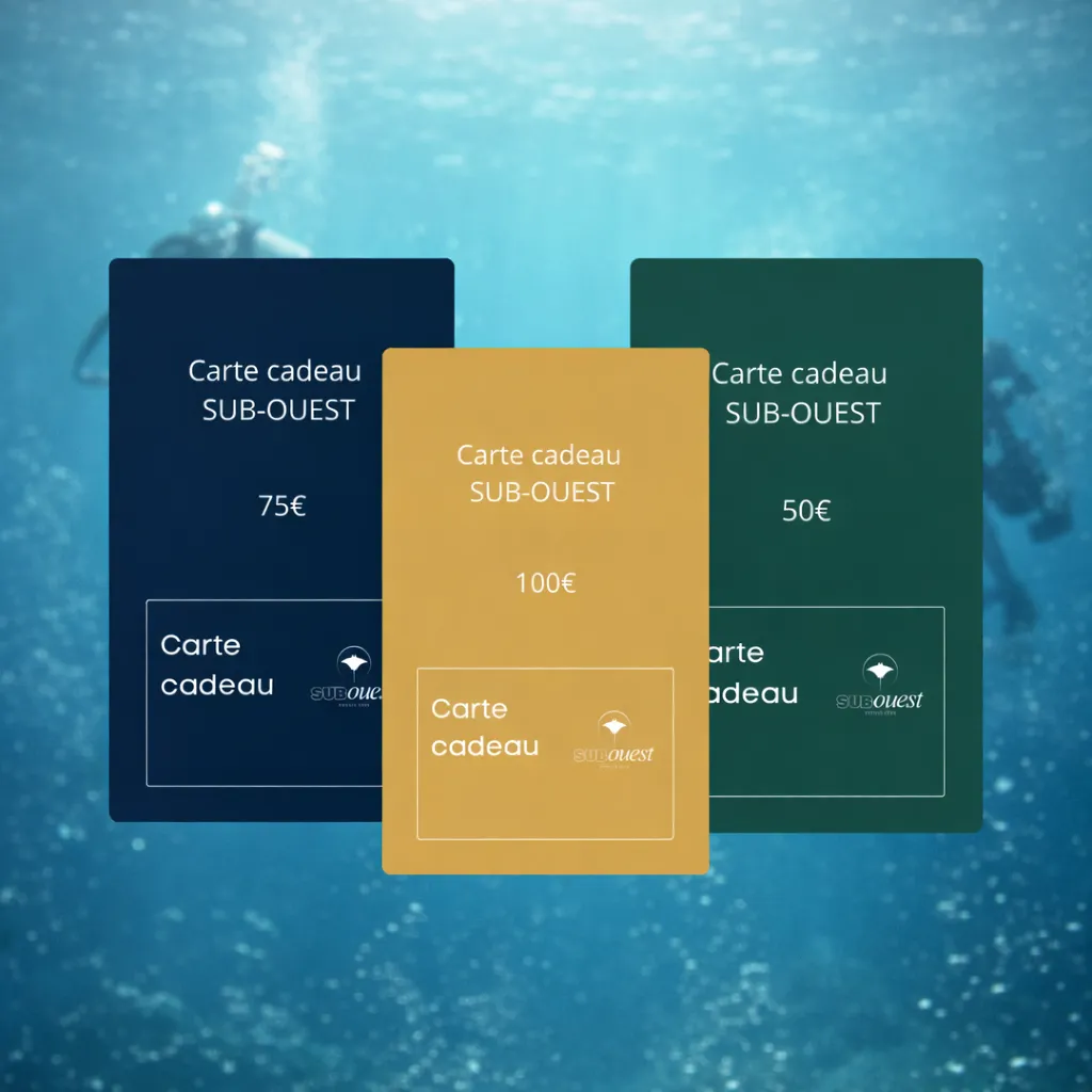 Carte cadeau